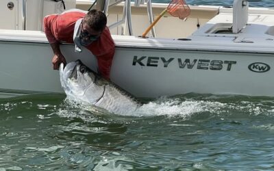 Understanding Tarpon Migration Patterns Around Fort Myers, Florida