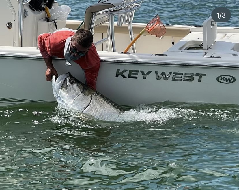 Understanding Tarpon Migration Patterns Around Fort Myers, Florida