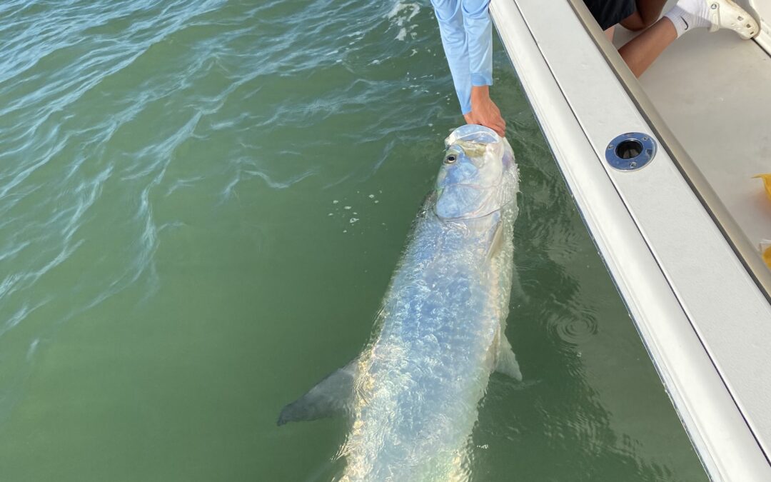 Fort Myers Beach Fishing Charters: Big Action, Easy Access