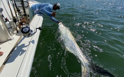 The Ultimate Guide to Fort Myers Tarpon Fishing