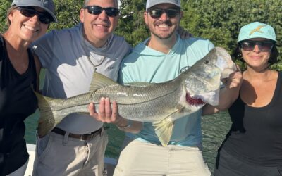 Cape Coral Fishing: Canals, Creeks, and Coastal Surprises