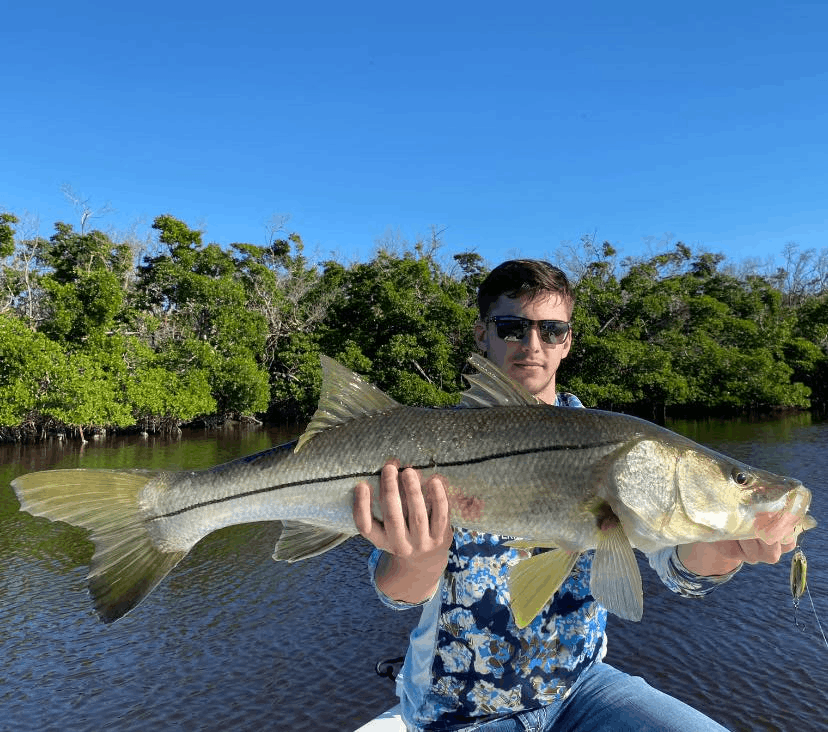 Snook Fishing Fort Myers In August