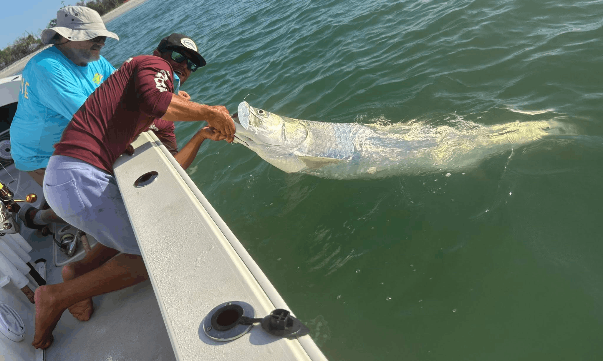 Snook Fishing Fort Myers In August